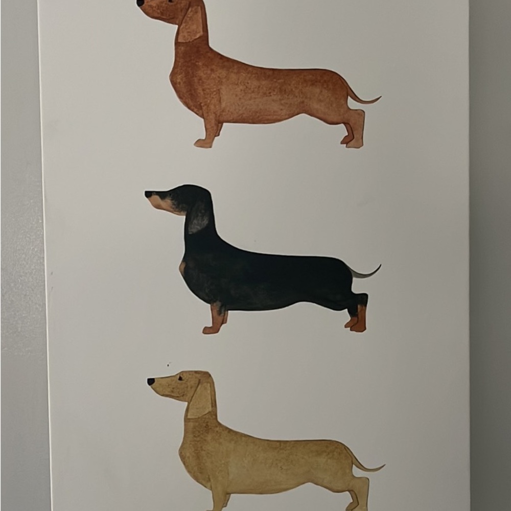 Dachshund canvas print 11x17